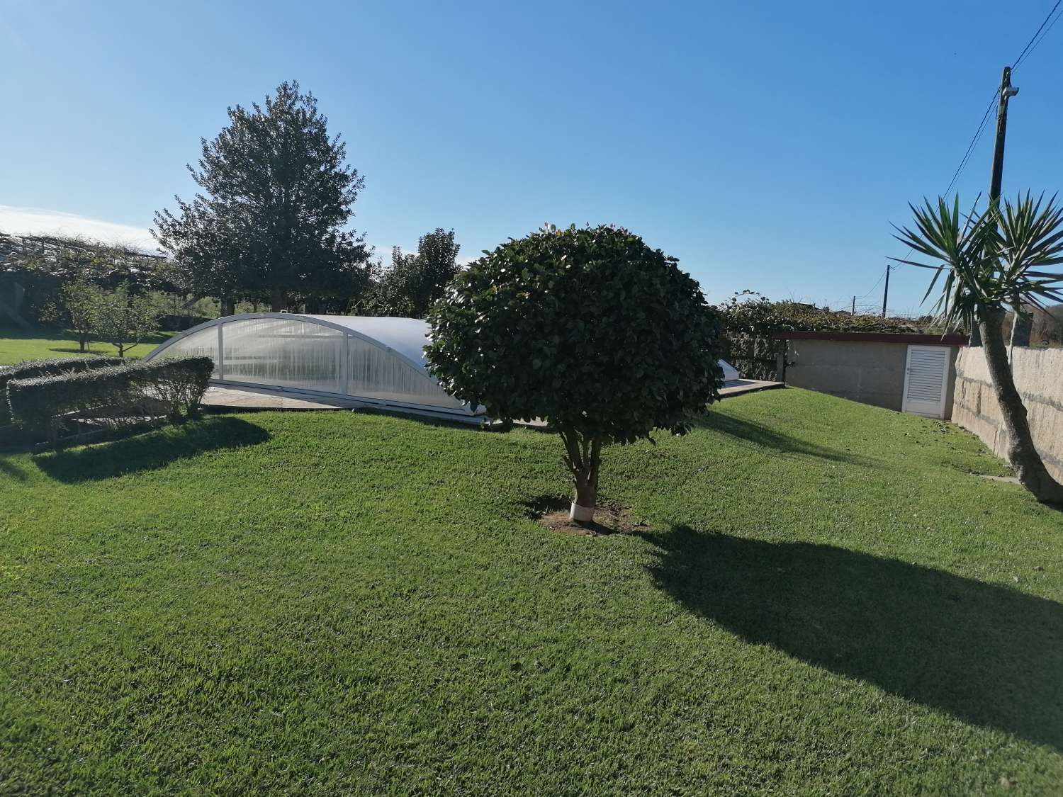 Chalet con piscina, rodeado de jardines, frutales, en venta en Ribadumia...