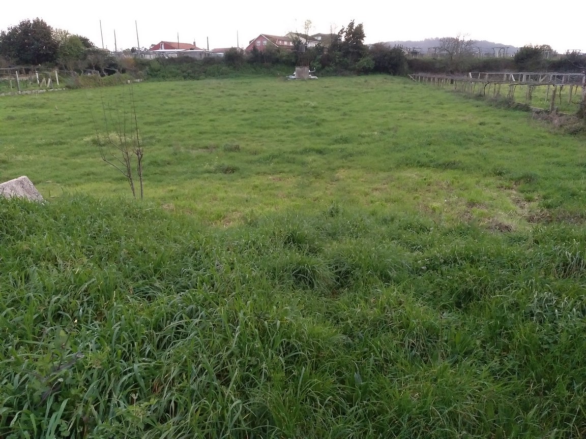 Sanxenxo: Villalonga, casa con finca en primera linea de mar....